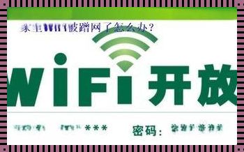 WiFi蹭网神器手机版：便捷连接，智慧生活