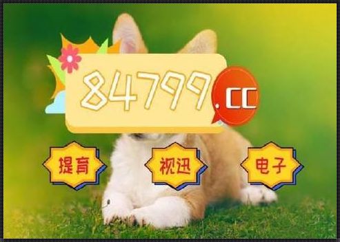 118一一澳门：感受的独特韵味