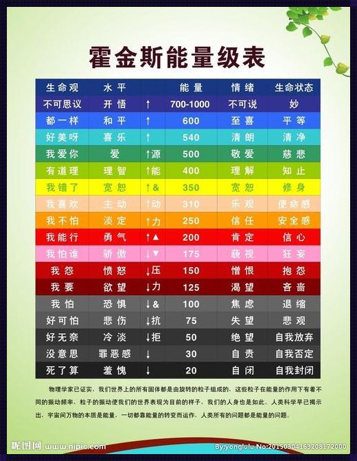 深入探索大卫霍金斯能量层级表的内涵与影响