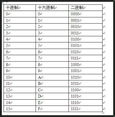 二进制码转换器：探索数字世界的神秘面纱