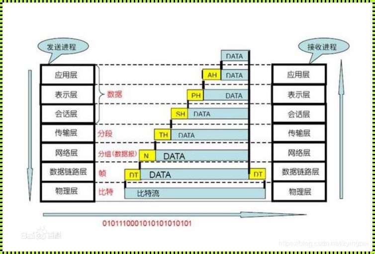 OSI表示层：揭秘网络通信的艺术