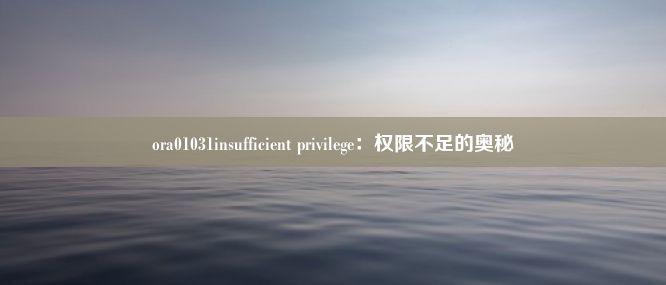 ora01031insufficient privilege：权限不足的奥秘