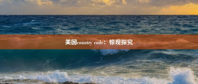 美国country code：惊现探究