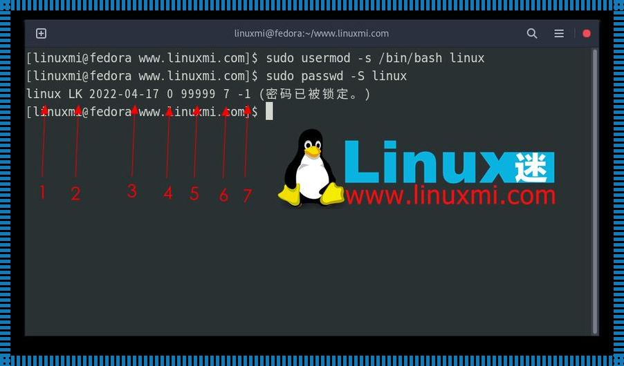 Linux用户名和密码存储位置揭秘