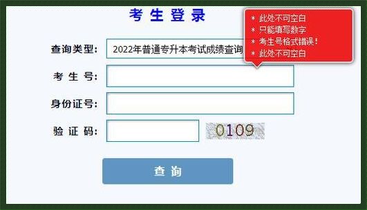 考试成绩查询网站：让查询更加便捷
