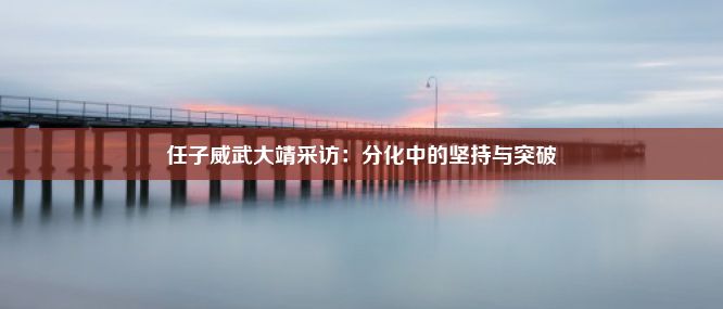 任子威武大靖采访：分化中的坚持与突破