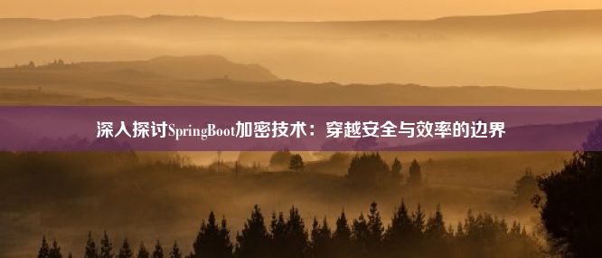 深入探讨SpringBoot加密技术：穿越安全与效率的边界