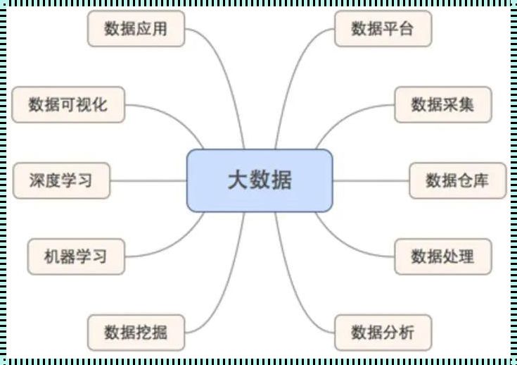 大数入门：探索数字的奥秘