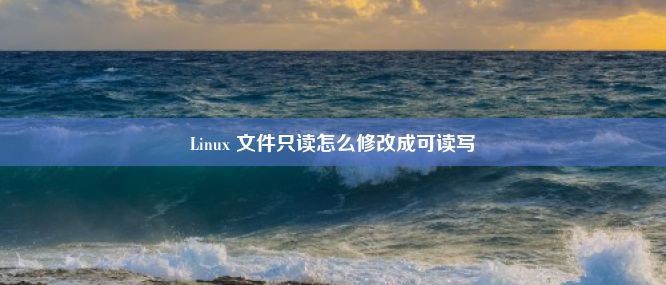 Linux 文件只读怎么修改成可读写