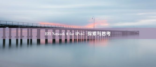 EFI Network 0 for IPv6：探索与思考