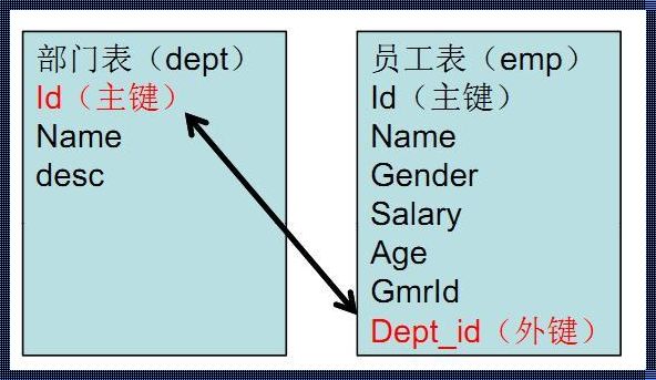 主键的特点：深入解析与探讨