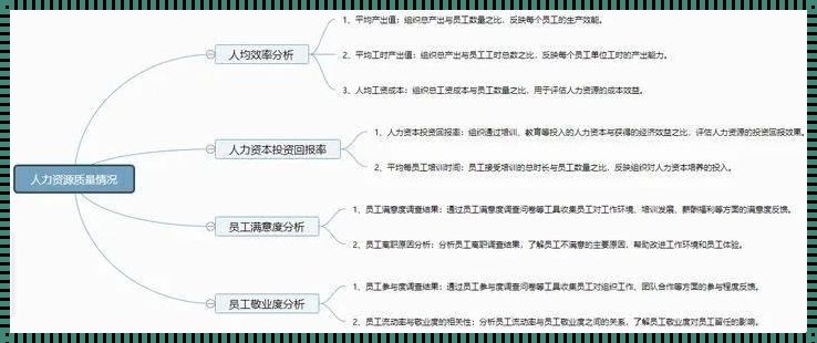 数据分析岗工作内容：探索与解读数字世界的奥秘