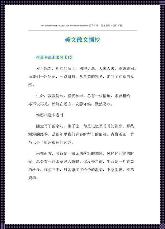 美文散文短篇：探寻生活中的美好