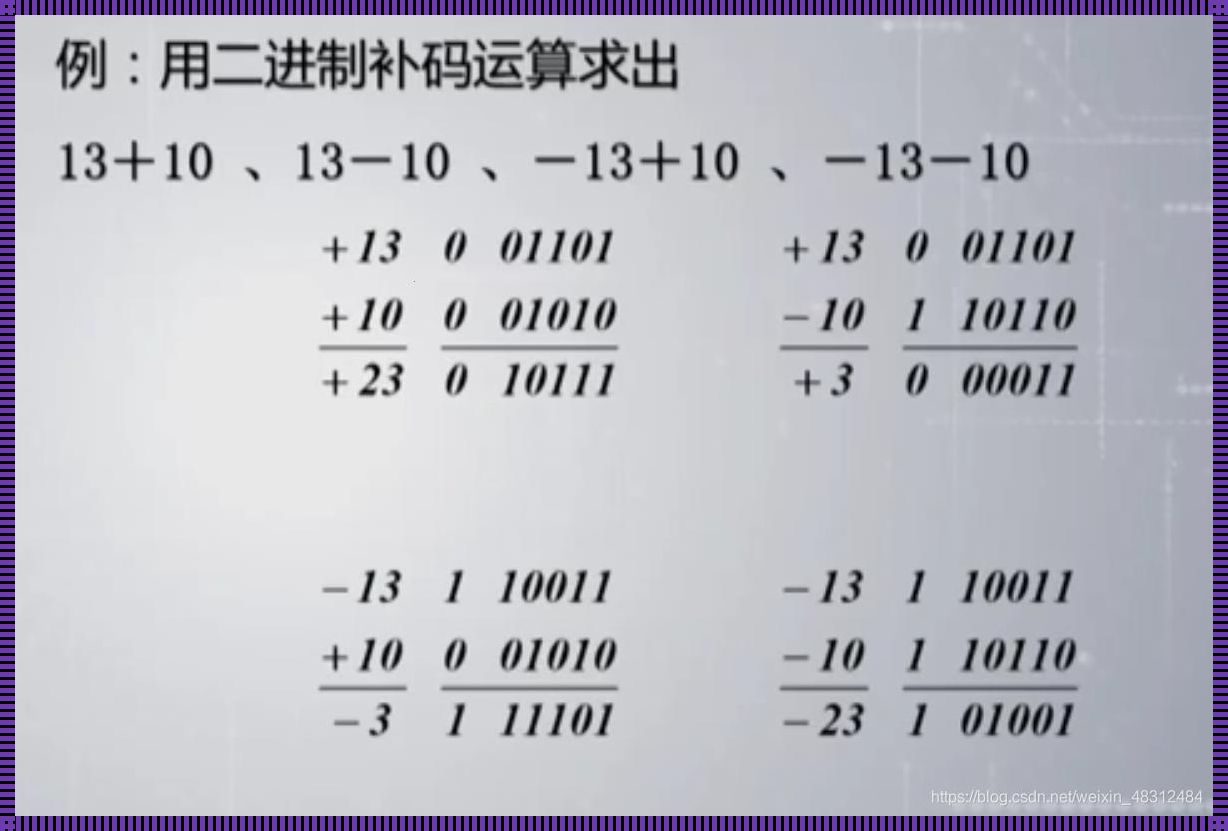 二进制转补码计算器：深入理解计算机的内部世界