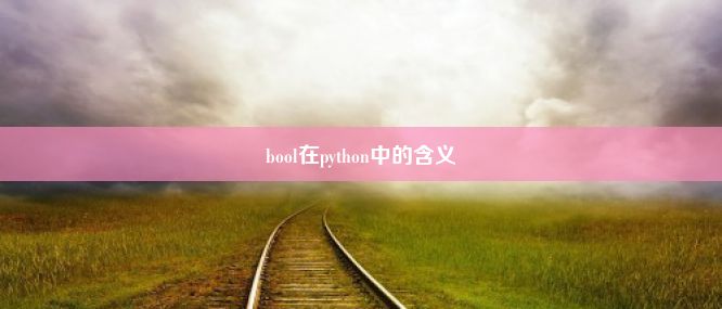 bool在python中的含义