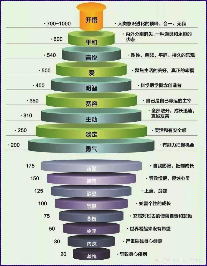 霍金斯能量层次：探索人类情感与行为的神秘纽带