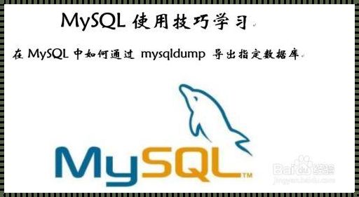 手机MySQL软件：揭秘其神秘面纱