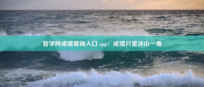 智学网成绩查询入口 app：成绩只是冰山一角