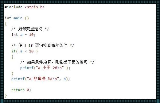 C语言if语句例子模板：探索编程逻辑的奥秘