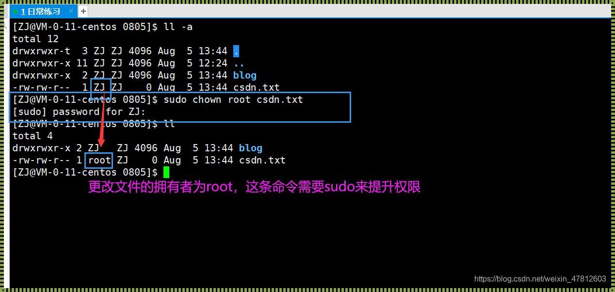 Linux系统中权限的添加：一种深入浅出的探究