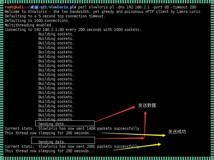 最强ddos攻击工具：探索网络安全的隐秘世界