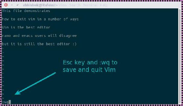 Linux系统退出编辑命令的深度解析