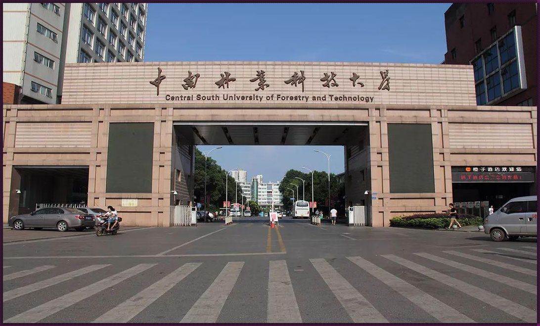 中南林业科技大学管理学院：探索与质疑