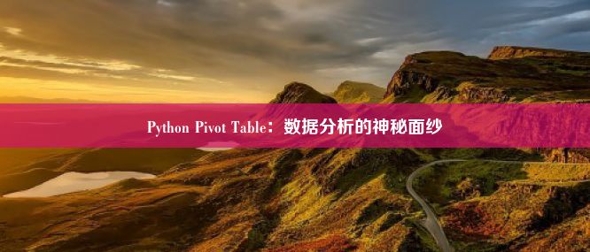 Python Pivot Table：数据分析的神秘面纱