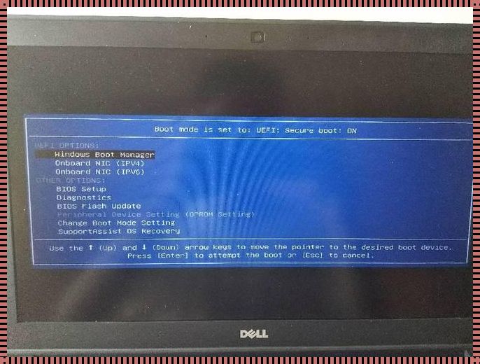 探究Dell开机F12背后的深层含义