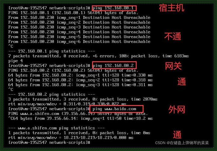 两台主机ping不通的原因：揭秘网络互联的神秘面纱