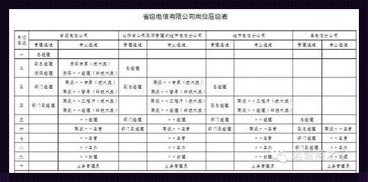 电信岗位28级制度：揭秘背后的激励与发展