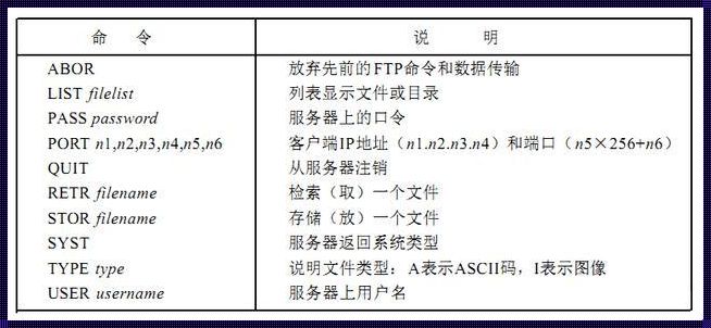 深入探讨FTP命令的用法及其在分享文件中的重要性