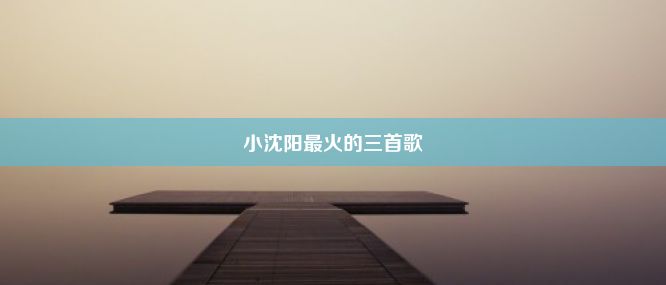 小沈阳最火的三首歌