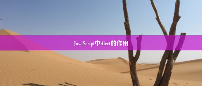 JavaScript中Alert的作用