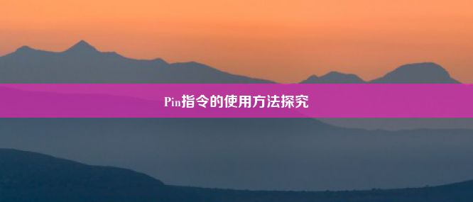 Pin指令的使用方法探究