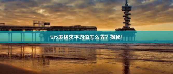 WPS表格求平均值怎么弄？揭秘！