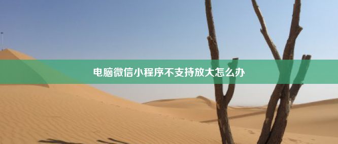 电脑微信小程序不支持放大怎么办