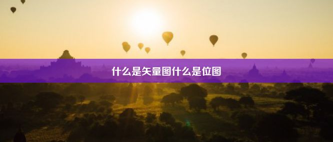 什么是矢量图什么是位图