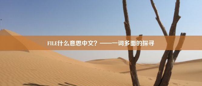 FILE什么意思中文？——一词多面的探寻