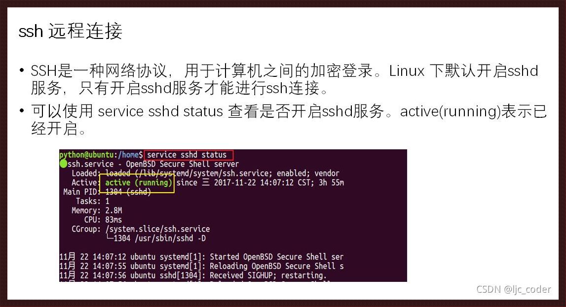 Linux查看当前用户权限：探索与解析