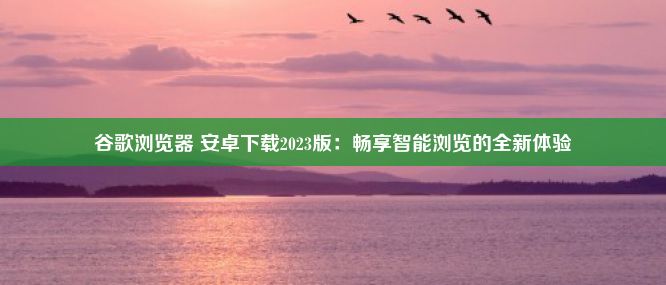 谷歌浏览器 安卓下载2023版：畅享智能浏览的全新体验