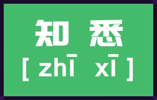 平级之间用知悉还是知晓：理解与沟通的艺术