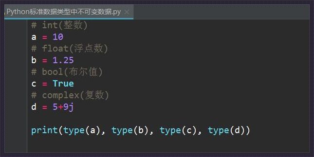 深入探讨type函数在Python中的应用与大规模编程实践