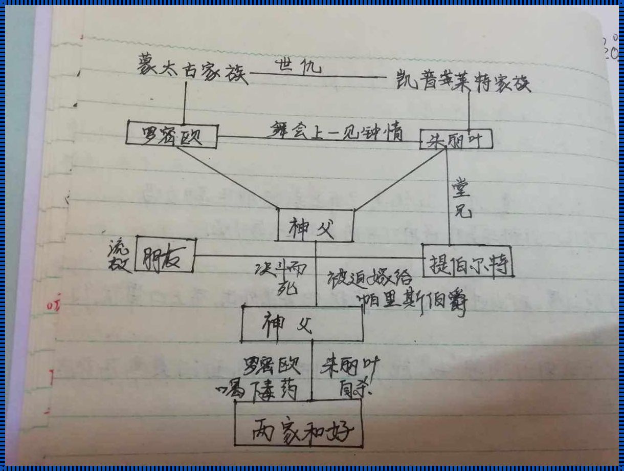 罗杰尔和菲雅什么关系：情感的纽带