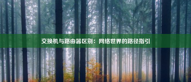 交换机与路由器区别：网络世界的路径指引