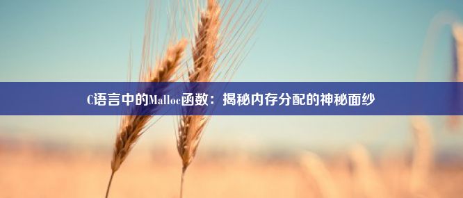 C语言中的Malloc函数：揭秘内存分配的神秘面纱