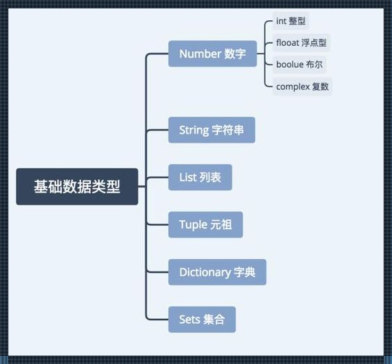 Python提供了字节类型byte：深入解析与探讨