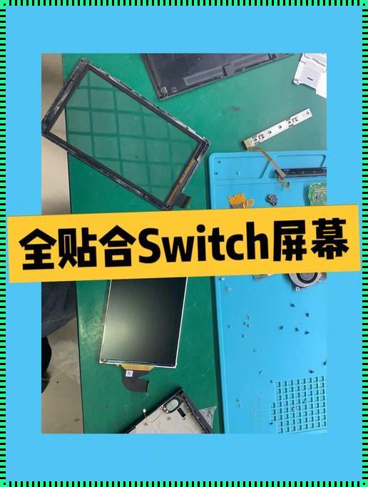 Switch屏幕乱点乱跳的解决办法