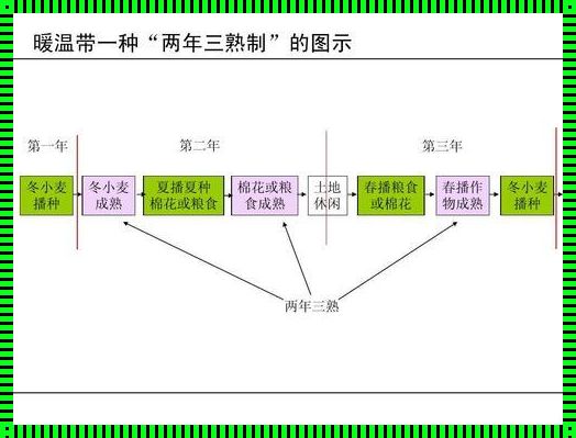 二层管理和三层管理的区别