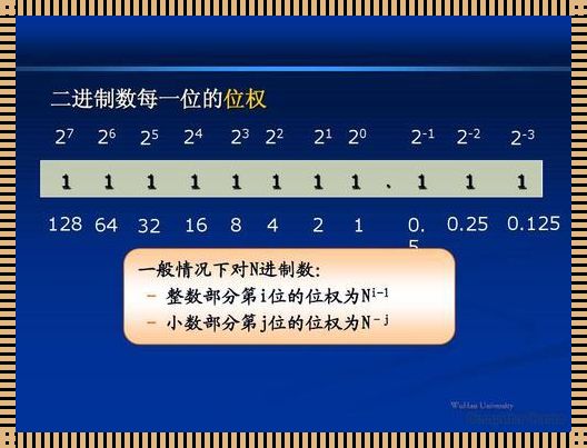 进制位：探索数字世界的秘密